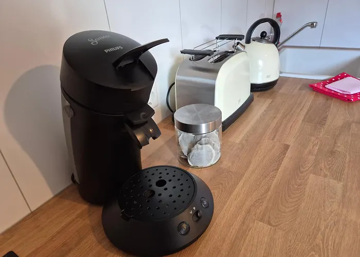 Kleines Ferienhaeuschen Im Garten Appartement