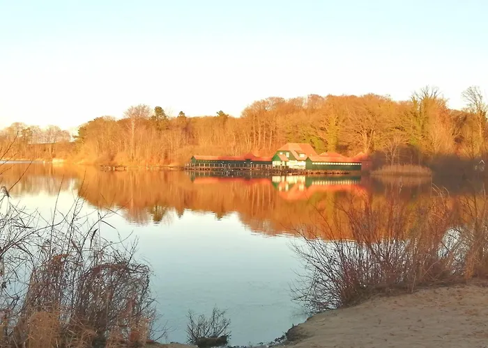 Kleines Ferienhaeuschen Im Garten Eutin